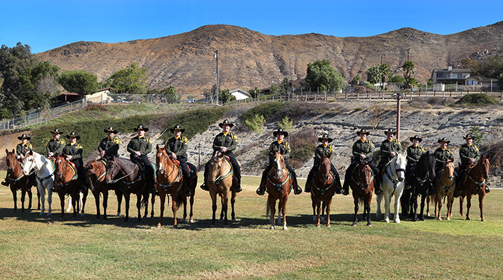 Mounted Enforcement Unit