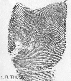 John DOE 05-07343-MI thumb print