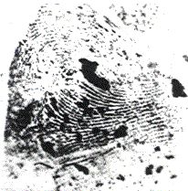 DOE, John 91-02034-EY