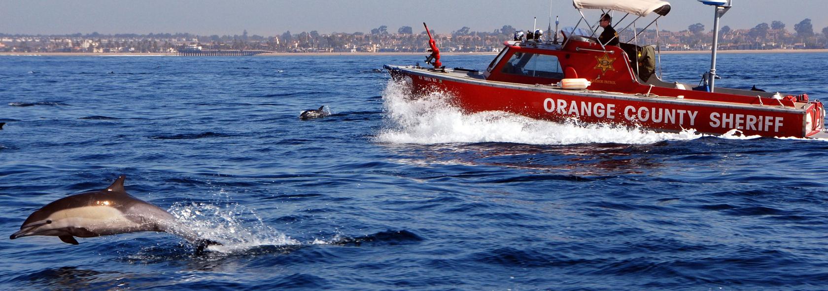 Harbor Patrol banner