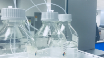 Crime Lab toxicology