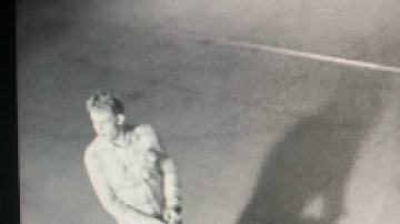 San Clemente vandalism suspect