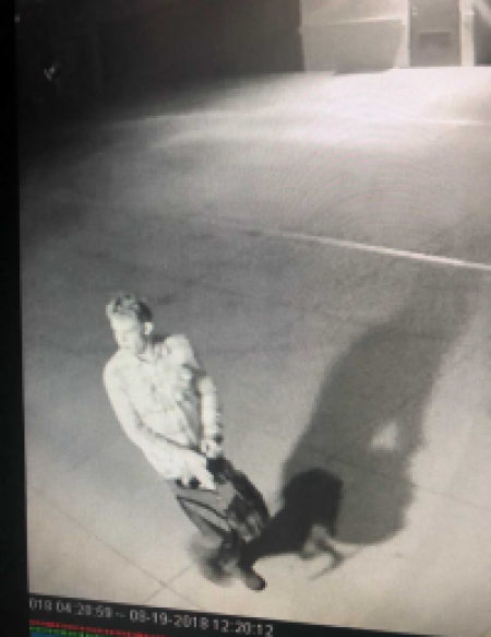 San Clemente vandalism suspect