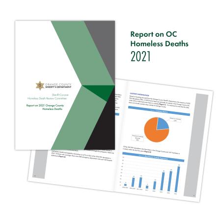 Homeless Death Report image